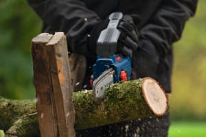Motosierra Podadora Bosch GKE 18V-15 Brushless 18V (s/bat ni carg)2