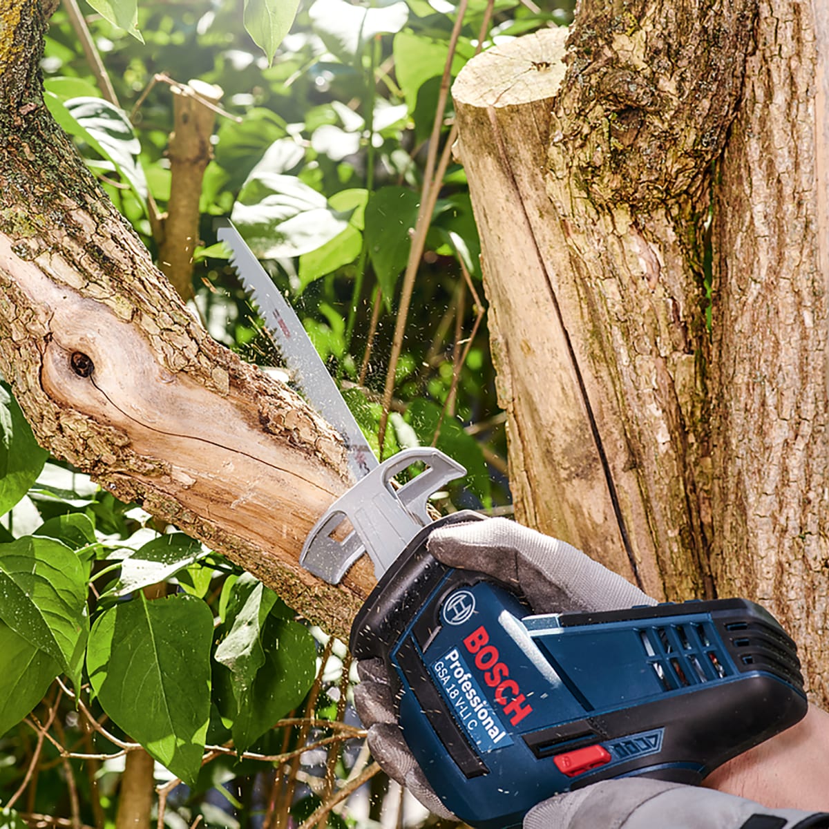 Hoja de Sierra Sable S 644 D x 2 Unidades Bosch 2608.650.6143