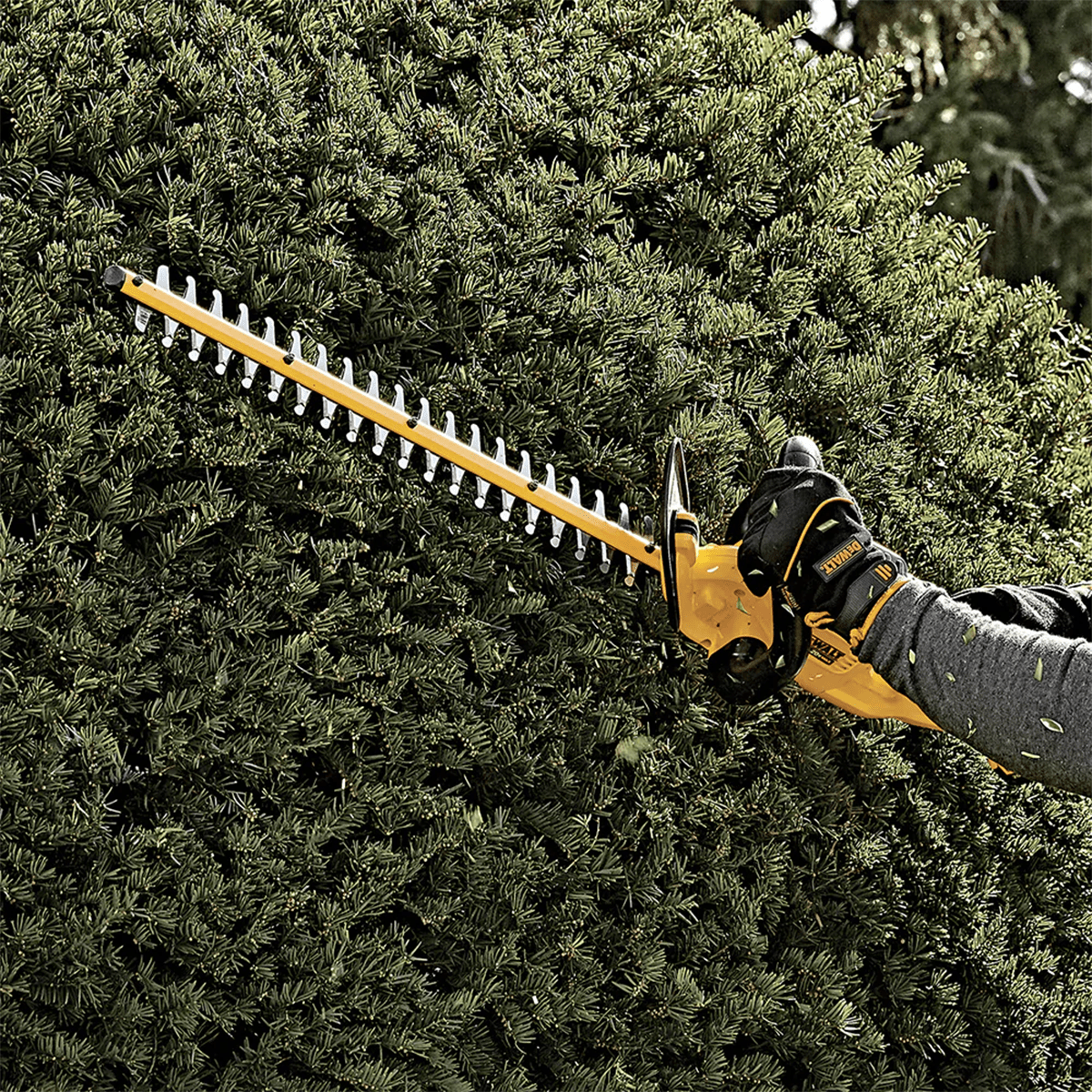 PODADORA MOTOSIERRA 20V MAX* - DCHT820B DEWALT6