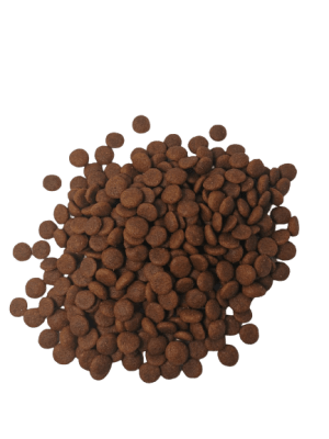 Cambo Cordero Cachorro Raza Mediana a Grande 1kg1