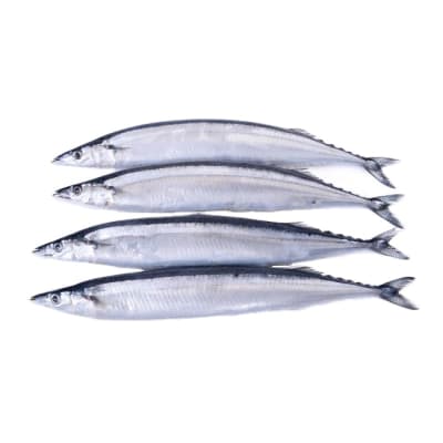 Caja Saury 9.02 KG Congelado