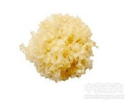 Caja Alga Blanca Deshidratada 120g x 101