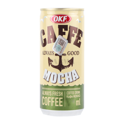 Caja Lata Caffe Mocha 240ml x 301