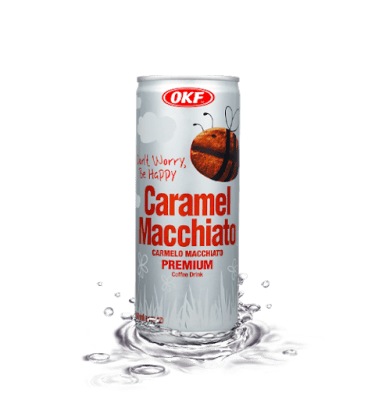 Caja Lata Caffe Caramel Macciato 240ml x 30