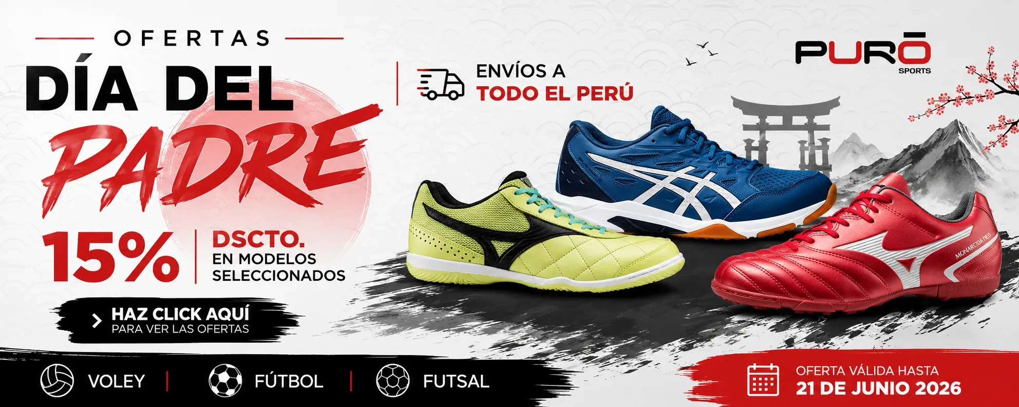 OFERTAS DIA DEL PADRE