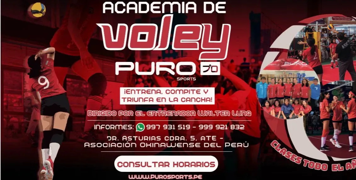 Academia de vóley - ATE