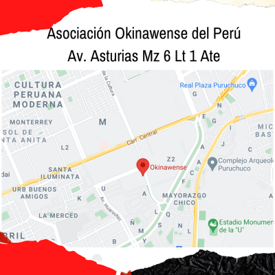 Academia de Voleibol3