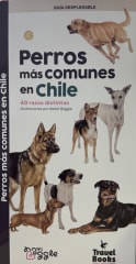 GUÍA DESPLEGABLE PERROS MÁS COMUNES EN CHILE