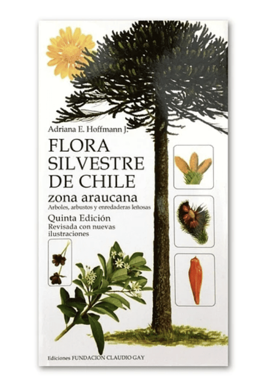 FLORA SILVESTRE CHILE ARAUCANA HOFFMANN1