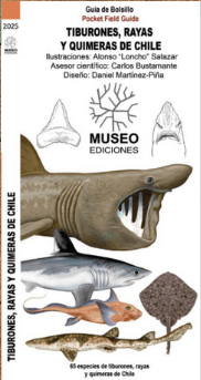 TIBURONES, RAYAS Y QUIMERAS DE CHILE1