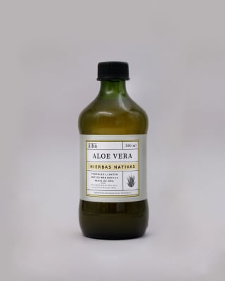 Aloe Vera hierbas nativas del alba