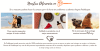 773707 copia de web bootic  1600 x 140 px   1600 x 250 px   590 x 195 px   590 x 300 px5663.webp