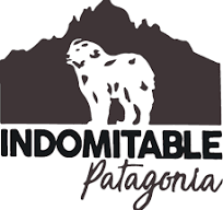 Indomitable Patagonia
