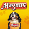 MAGNUS