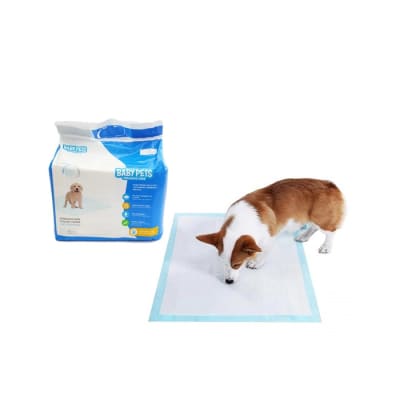 Sabanilla De Adiestramiento 60X60 (30 Unidades)