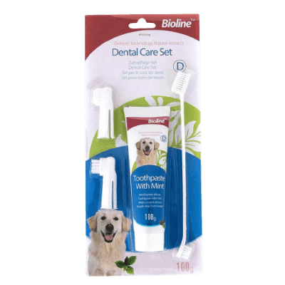 Set de Higiene Dental Menta