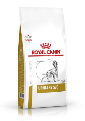 Urinary S/O Canino 10 Kg Royal Canin