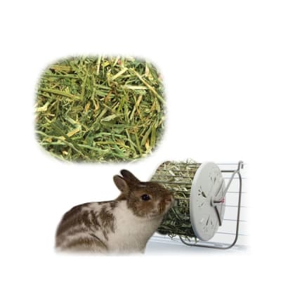 Heno Para Conejos 3KG