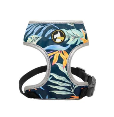 ARNES WONDER ABBA XL1