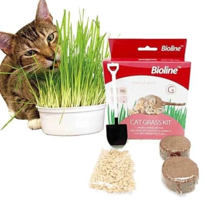 Cat Grass Kit Bioline