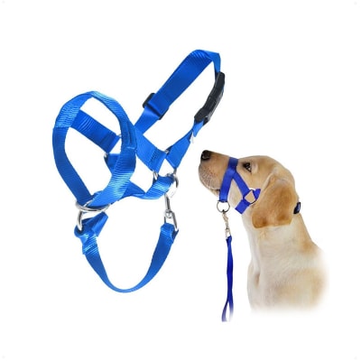Collar Antitirones De Adiestramiento Talla S