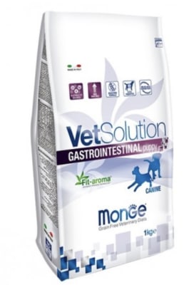 MONGE DOG VS GASTROINTESTINAL PUPPY1