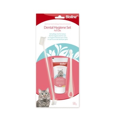 Dental Hygiene Set Cat Kit 50gts