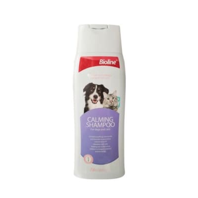 Calming Shampoo1