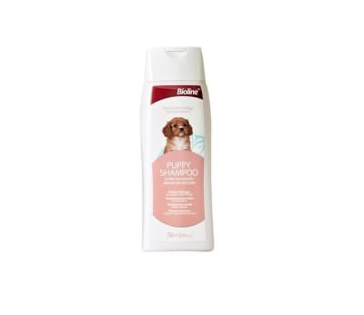Shampoo Para Cachorros1