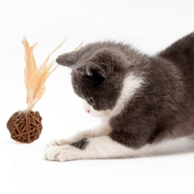 Juguete Para Gatos Con Pluma Y Cascabel