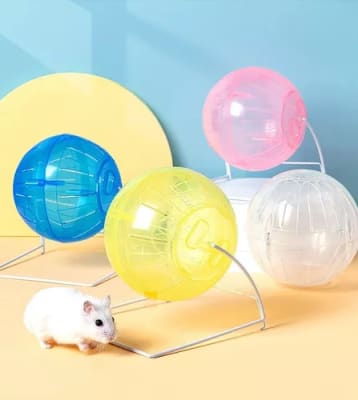 Bola Esfera Para Hámster 11.5Cm1