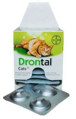 Drontal Cat Envase Clínico 2 Comprimidos1
