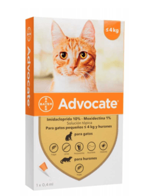 Advocate Gato (pipeta) Hasta 4 Kg