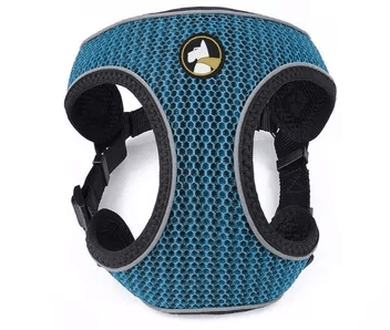 Arnes Wonder Max Talla L1