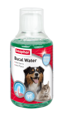 Enjuague Bucal PyG 250 ml - Beaphar1