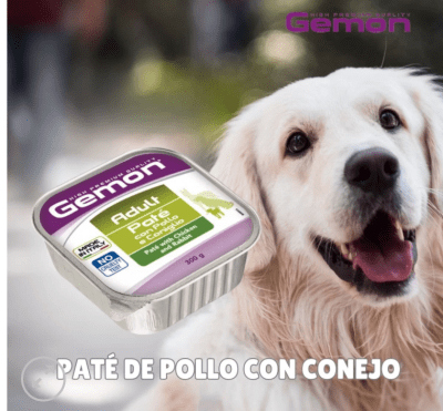 GEMON PATE PERRO 300 GR CONEJO/POLLO1