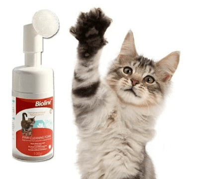 Paw Cleaning For Cat