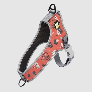 Arnés Wonder Kyra XL1