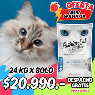ARENA AGLUTINANTE  PROMO FASHION CAT 24 KG
