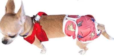 PAÑAL PARA CELO PERRO TALLA XS