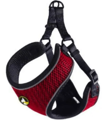 ARNES WONDER MAX XS