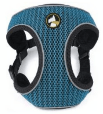 ARNES WONDER MAX TALLA S1