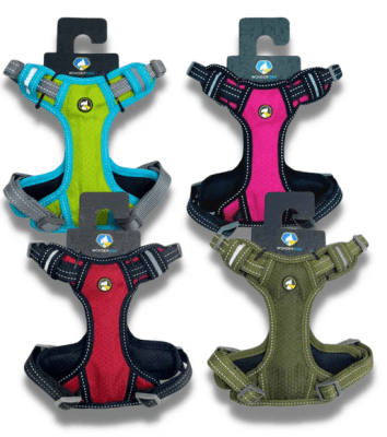 ARNÉS DE PECHO VARIEDAD COLORES XL