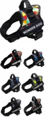 ARNES WONDER DOG TALLA XL1