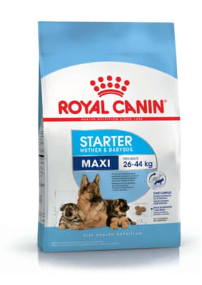 ROYAL CANIN MAXI STARTER 10Kg1