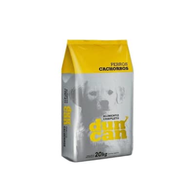 Duncan Perro Cachorro1