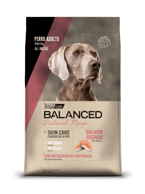 Balanced Natural Salmón Rosado Perro Adulto 3 KG.1