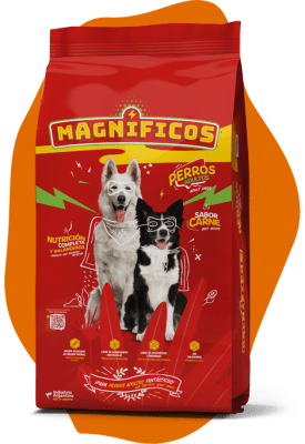 MAGNIFICO 18 KG
