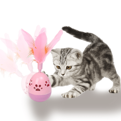 Juguete Pelota Plumas1