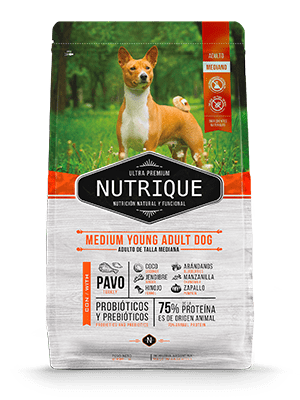 Nutrique Medium Young Adult Dog 12 Kg1